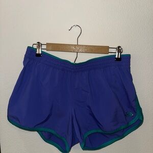 The North Face Teal and Blue Athletic Shorts